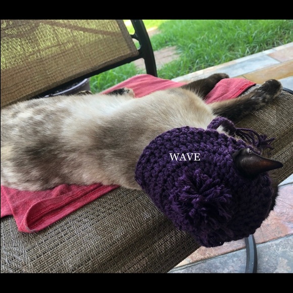🐈‍⬛🐈😻matching beanie for your cat😽😸pom&braids - Picture 6 of 12
